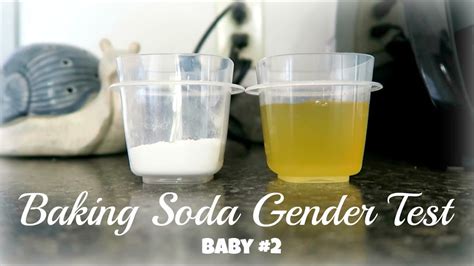 Baking Soda Gender Test: Process, Results & Accuracy.